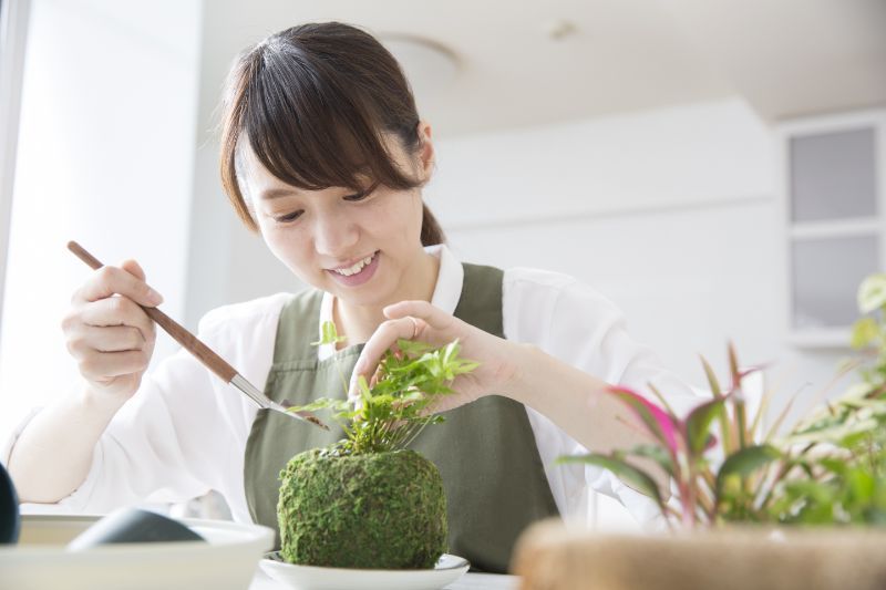làm quả cầu rêu kokedama